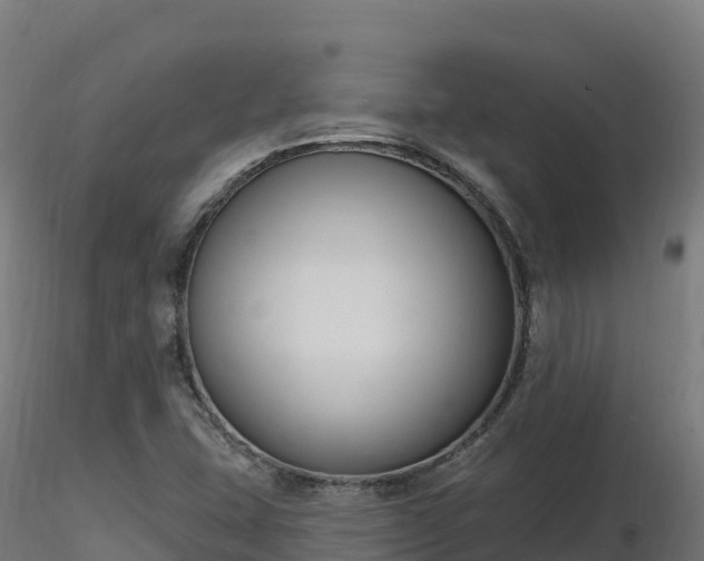 X0000116891407200912291253