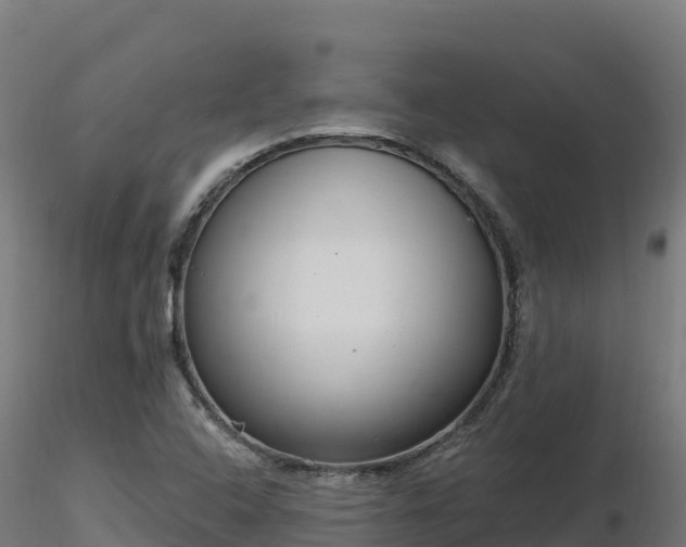 X0000116891408200912291253