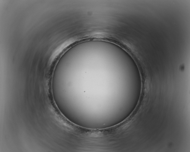 X0000116891410200912291253
