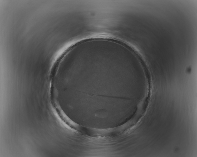 X0000116891414200912291253