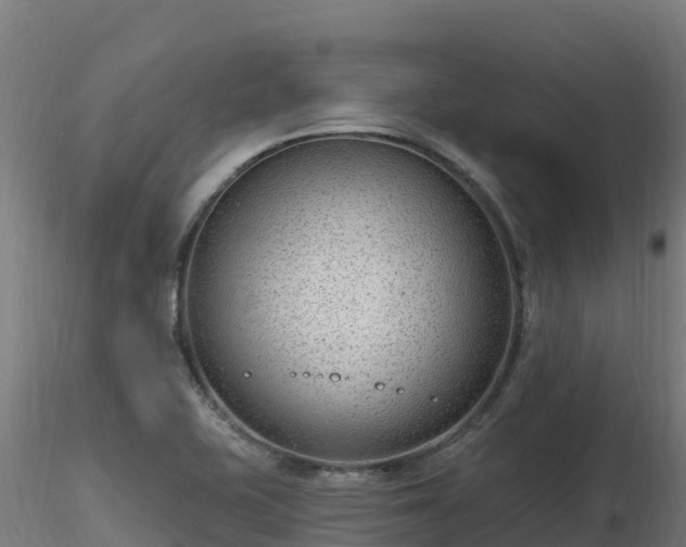 X0000116891415200912291253