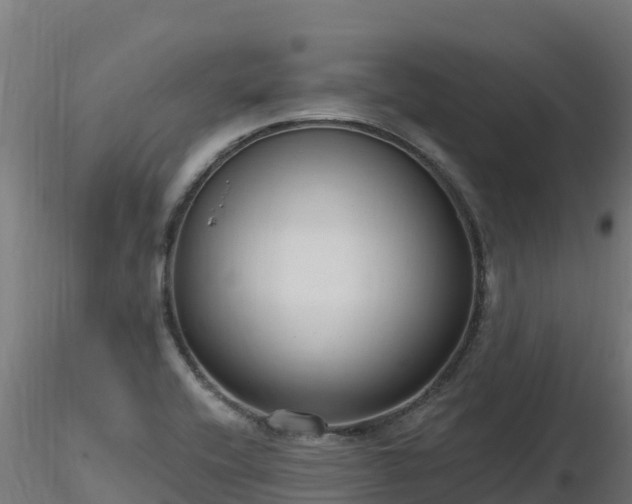 X0000116891416200912291253