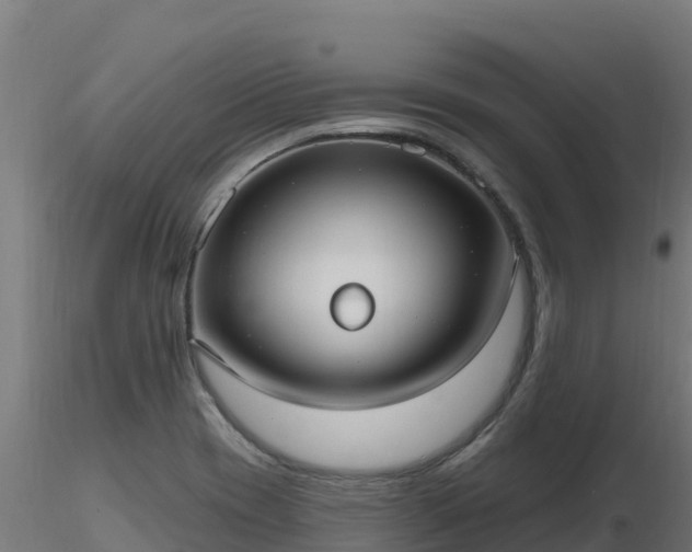X0000116891417200912291253