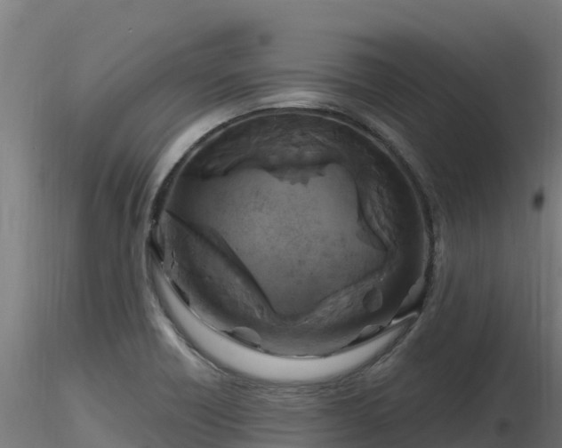 X0000116891418200912291254
