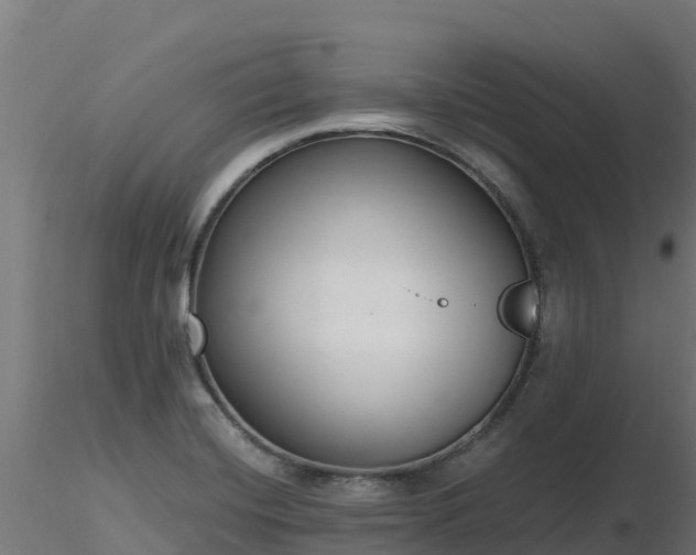 X0000116891420200912291254