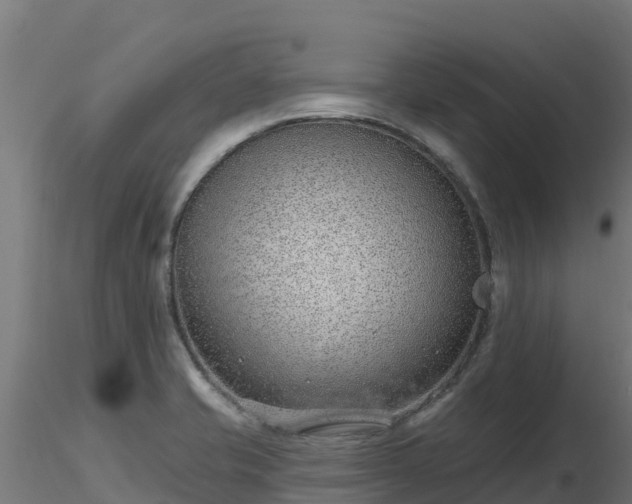X0000116891421200912291254