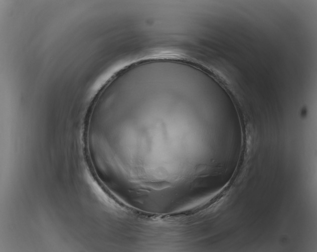 X0000116891422200912291254
