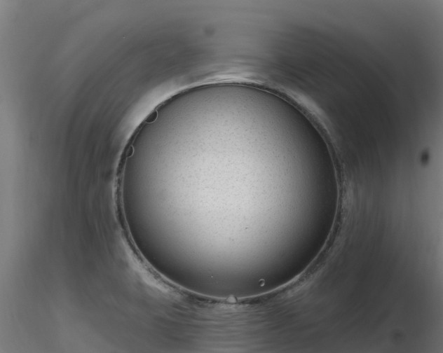 X0000116891423200912291254
