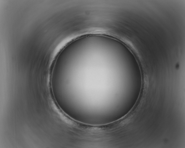 X0000116891424200912291254