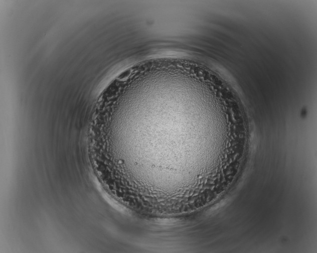X0000116891425200912291254