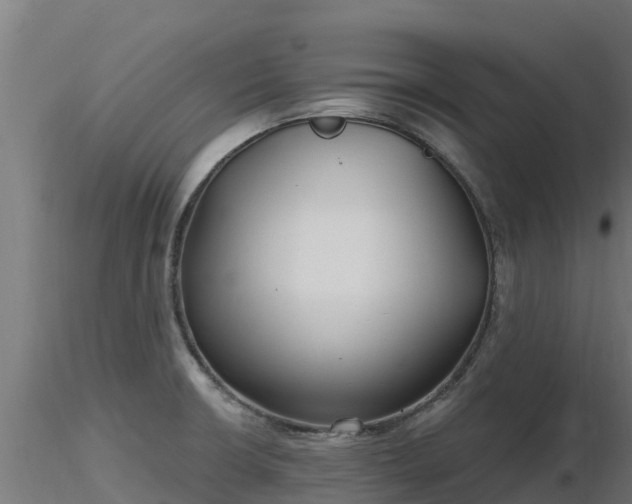X0000116891426200912291254