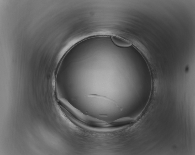 X0000116891428200912291254