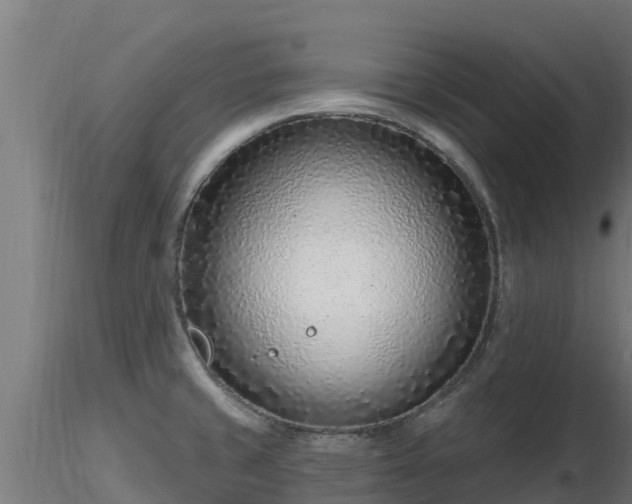 X0000116891429200912291254