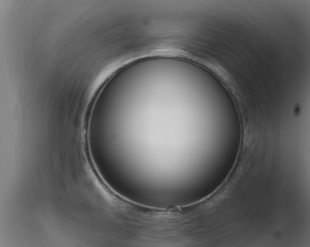 X0000116891430200912291254