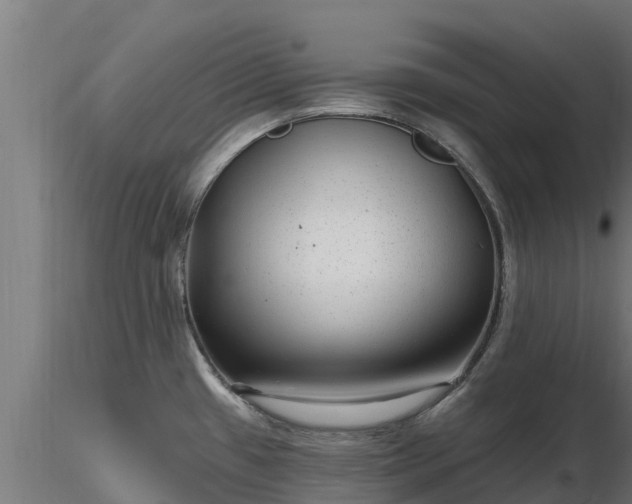 X0000116891433200912291254