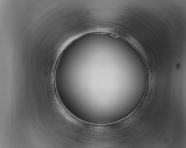X0000116891436200912291254