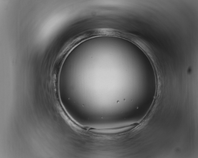 X0000116891438200912291254