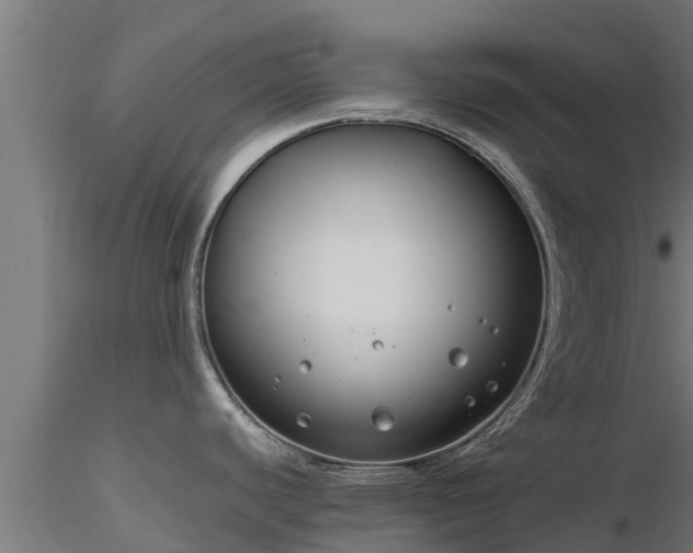 X0000116891440200912291254