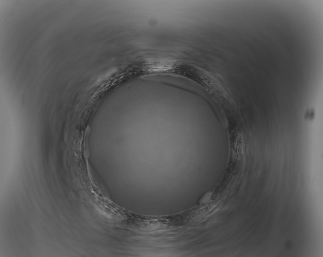 X0000116891441200912291253
