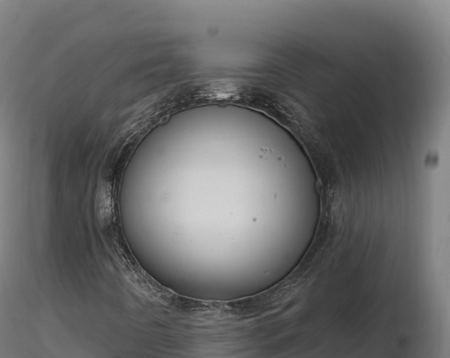 X0000116891442200912291253