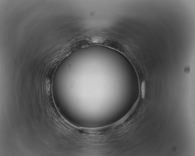 X0000116891443200912291253