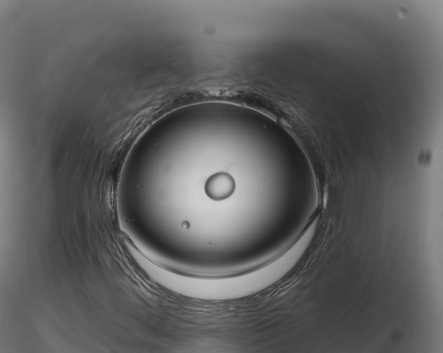 X0000116891444200912291253