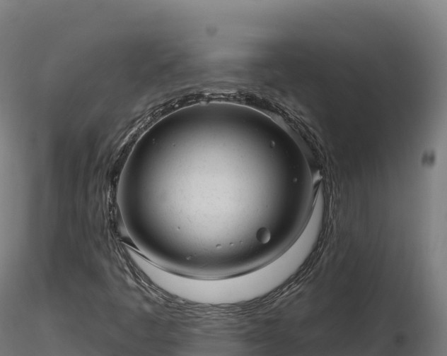 X0000116891445200912291253