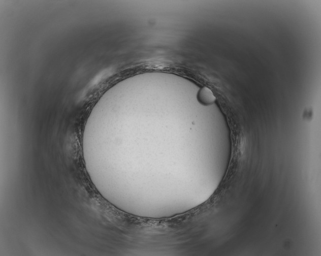 X0000116891446200912291253
