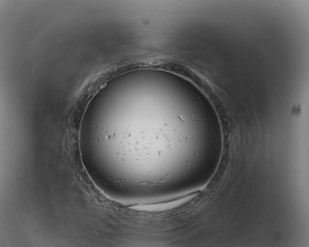 X0000116891447200912291253