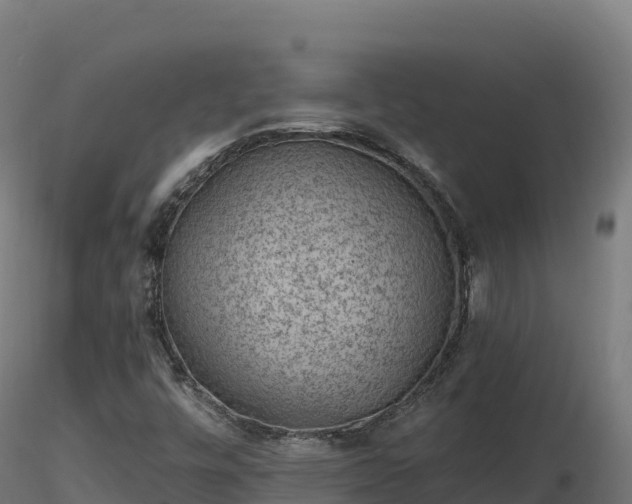 X0000116891448200912291253