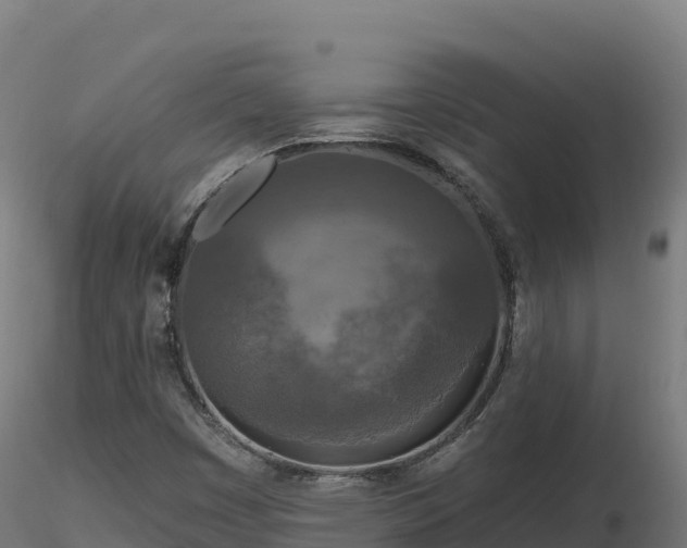 X0000116891449200912291253