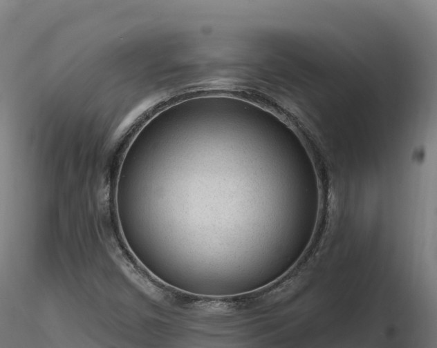 X0000116891450200912291253