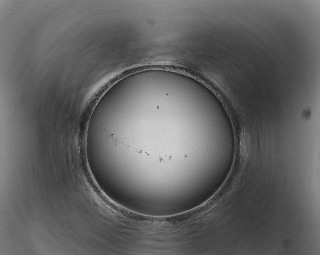 X0000116891452200912291253