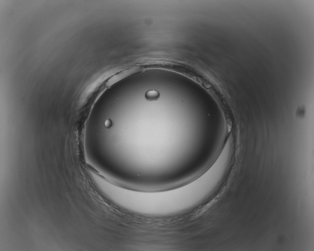 X0000116891453200912291253
