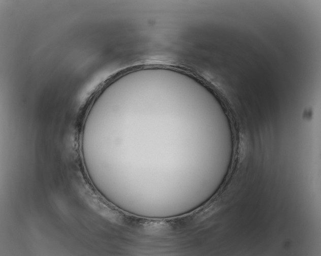 X0000116891454200912291253