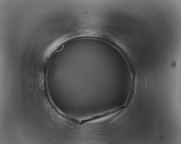 X0000116891455200912291253
