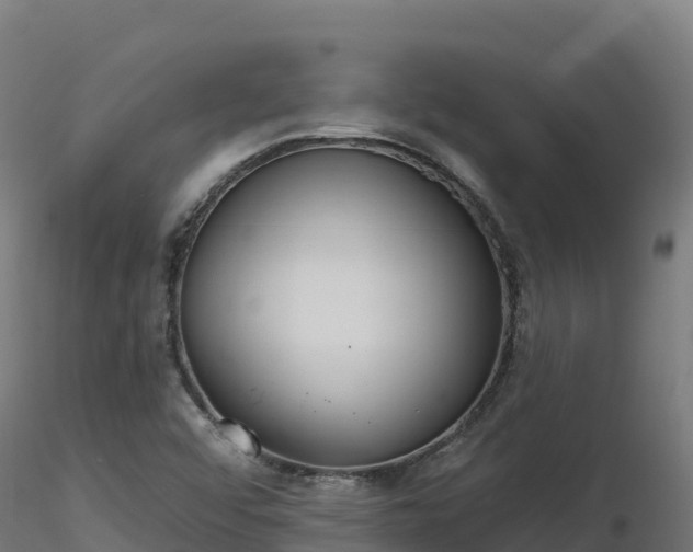 X0000116891456200912291253
