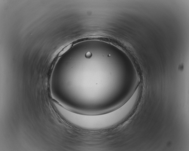 X0000116891457200912291253