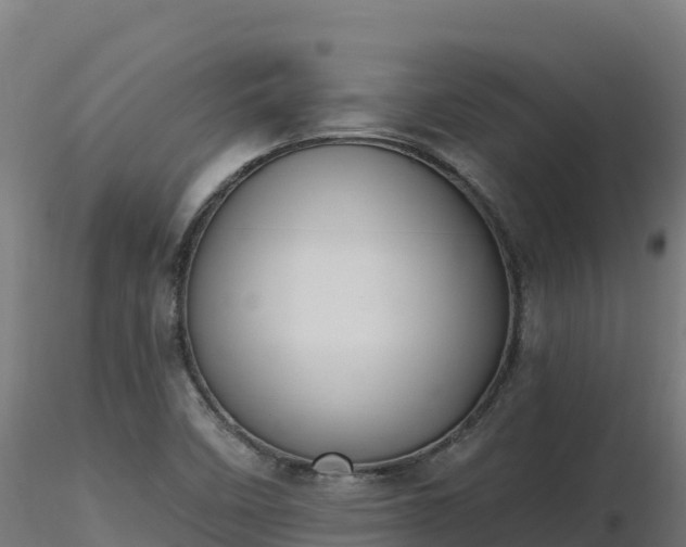 X0000116891458200912291253