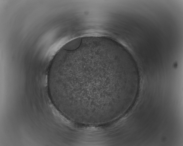 X0000116891459200912291253