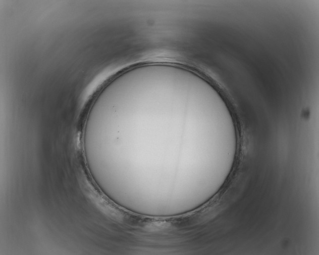 X0000116891462200912291253