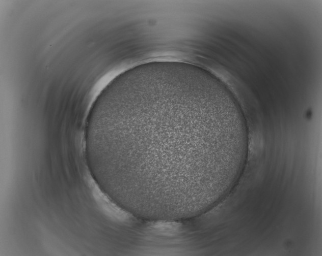 X0000116891466200912291253