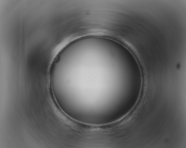 X0000116891467200912291253
