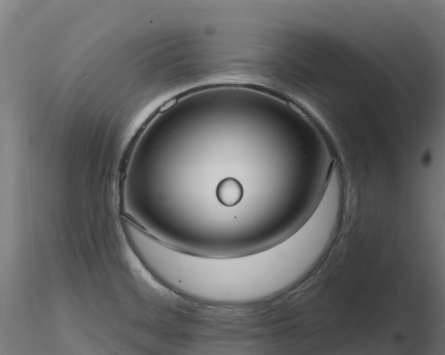 X0000116891468200912291253