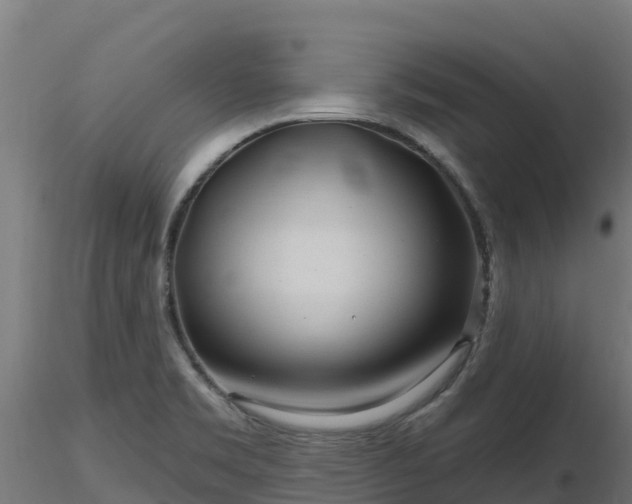 X0000116891469200912291253