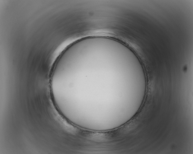 X0000116891470200912291253