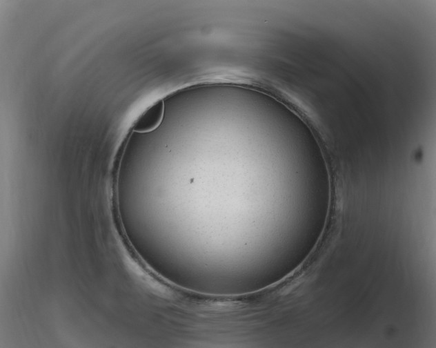 X0000116891471200912291253