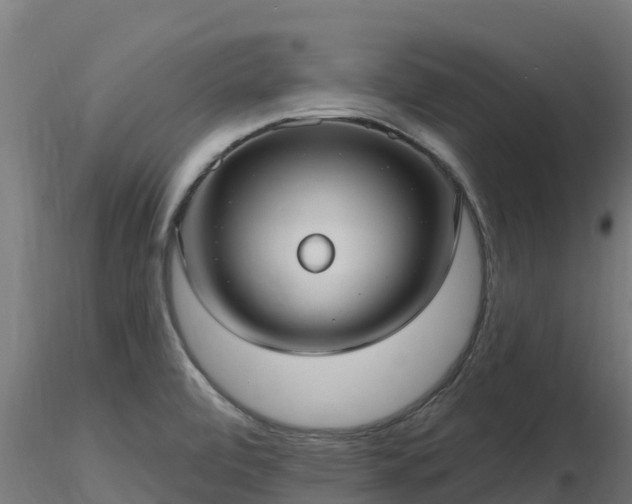 X0000116891472200912291253