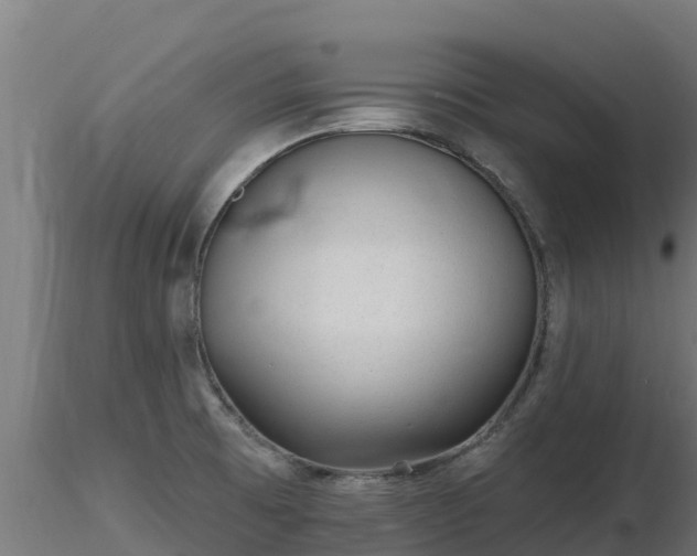 X0000116891473200912291253