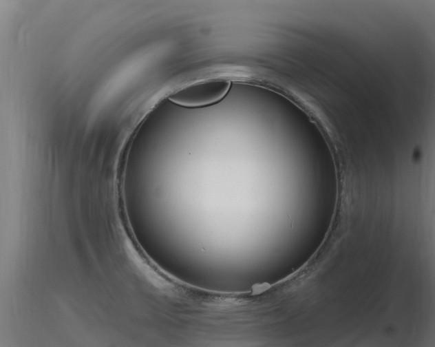 X0000116891475200912291253